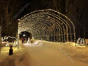 Illumination at Asahikawa in Hokkaido, Japan