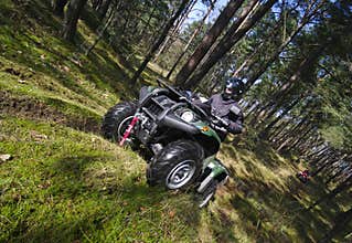 Quad in forest (ATV)