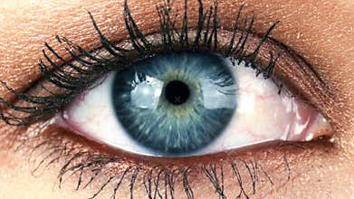 Close-up Macro Shot of Female Human Eye Blinking