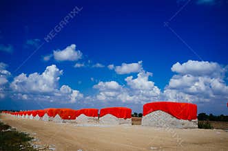 Cotton Bales#3