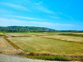 A huge farm in rural Japan