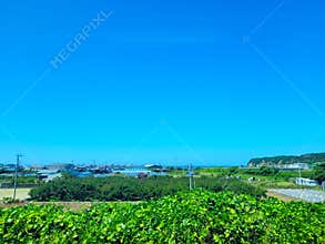 A rural farm in Wakayama prefecture