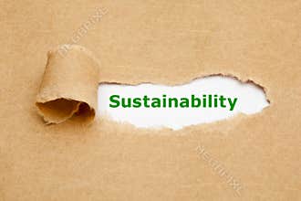 Sustainability Torn Paper Concept