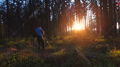 Photographer takes a picture in Silent Forest in spring