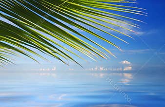 Tropical Sea with palm trees