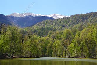 Small lake in Dilijan, Armenia