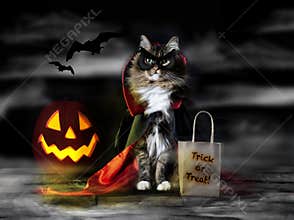 Halloween Count Dracula Cat
