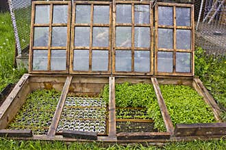 Underground green house