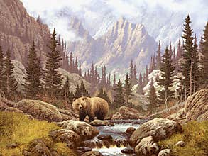 Grizzly Bear in the Rocky Mountains