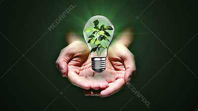 Hands presenting light bulb with plant