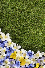 Spring or summer border background