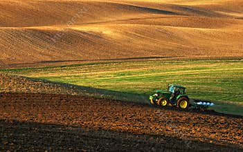 Tractor plows a field in the spring accompanied by rooks Tractor