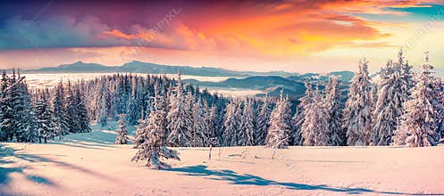 Colorful winter sunrise in the snowy mountains.