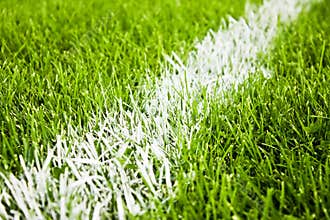 Soccer or football stripes