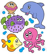 Cute marine animals collection