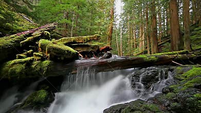 High Definition Movie of Long Exposure Water Flowing at Panther Creek Falls in Skamania County Washington 1920x1080