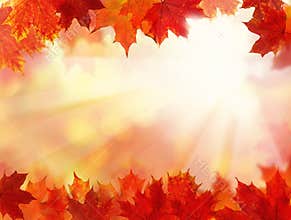 Fall Background with Autumn Leaves