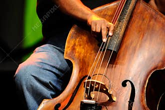 Double bass player - Classic Jazz