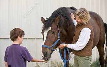 Boy Feeding Horse