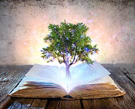 Tree Growing From The Old Book