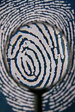 Looking for evidence