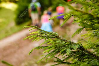 Mountain Hiking