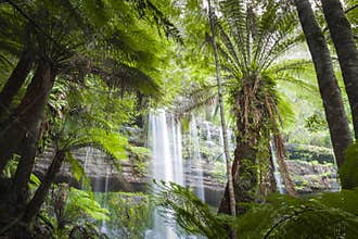 Russell Falls, Mount Field National park, Tasmania, Australia