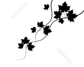 Autumn leaves