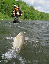 Fly fishing