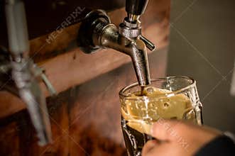 Bartender filling up with craft beer a pint glass