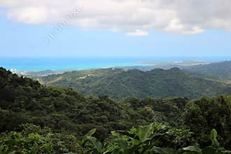 Puerto Rico landscape