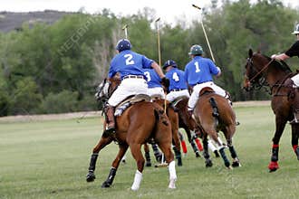 Polo Team Chasing