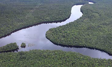 Aerial view of Amazon River