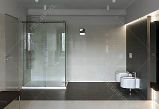 Luxury bathroom interior