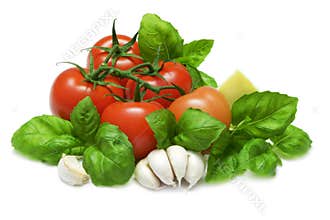 Tomato and Basil