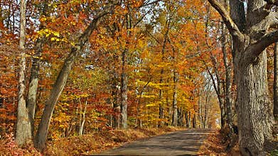 Fall Scenic Byway in Bucks County, Pennsylvania