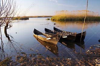 danube delta