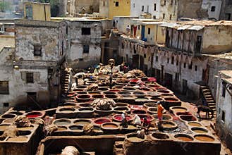 Dyeing in Fez, Morocco.