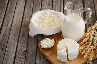 Fresh dairy products. Milk and cottage cheese with wheat on the rustic wooden background.