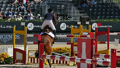 Horse International Jumping Fences Competition
