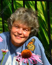 WOW watching monarch butterfly