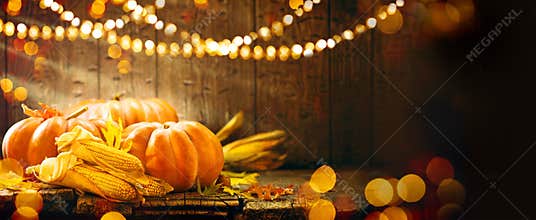 Autumn Thanksgiving pumpkins over wooden background