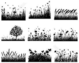 Meadow silhouettes