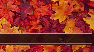 Happy Thanksgiving Greeting Card animated