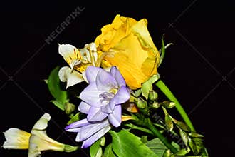 Very pretty multicolor flowers close up