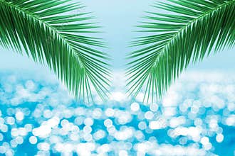 Tropical beach with sea star on sand, summer holiday background. Travel and beach vacation, free space for text