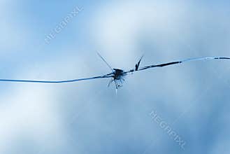 Broken windshield