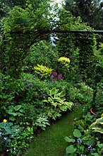 Group plants in the shadow garden place