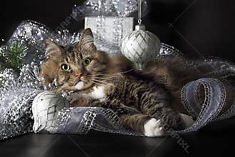 Cat Laying in Silver Christmas Ornaments