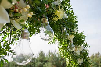 Decorative outdoor string lights hanging on tree in the garden. Light bulb decor in outdoor party.